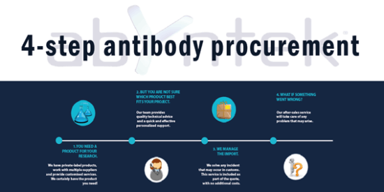 4-step-antibody-procurement-abyntek