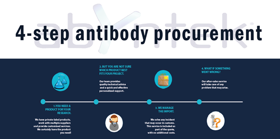 4-step-antibody-procurement-abyntek