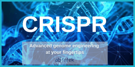 CRISPR-Abyntek