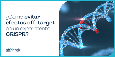 Como-evitar-efectos-off-target-en-un-experimento-CRISPR