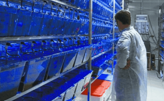 Diario-vasco-no-original