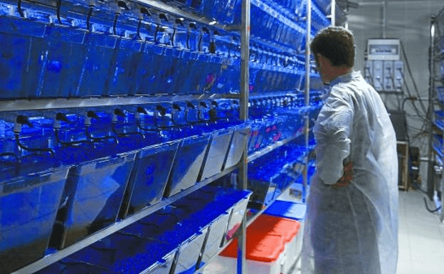 Diario-vasco-no-original