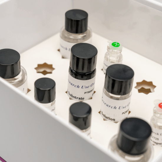 FOTOS NP REDIMENSIONADAS PARA WEB (1920 x 1080 px)