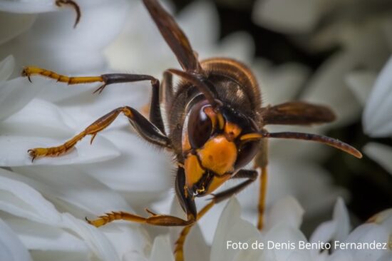 xr:d:DAFGMQS78OQ:10,j:30682743614,t:22071314