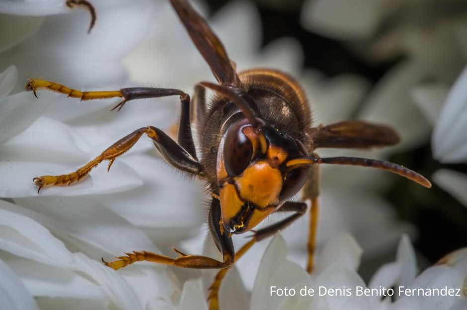 xr:d:DAFGMQS78OQ:10,j:30682743614,t:22071314