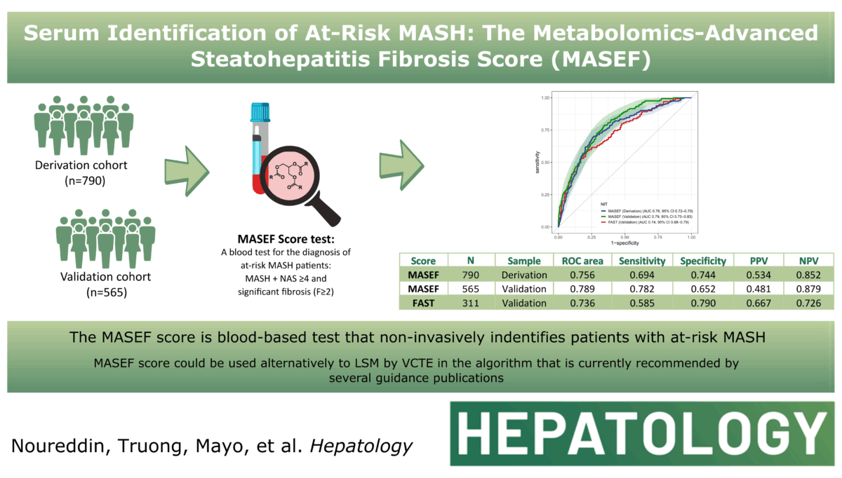 GRAPHICAL_ABSTRACT_MASEF