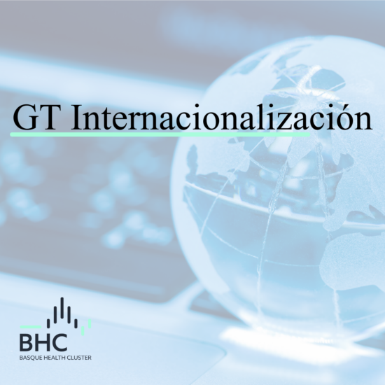 GT Internacionalización