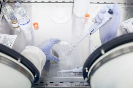 Histocell-nuevo-inversion-no-original