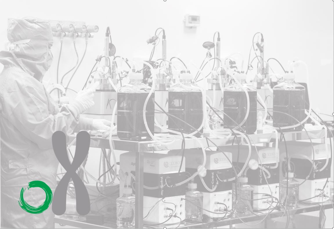 Image-LENTISOMA-patent-USPTO