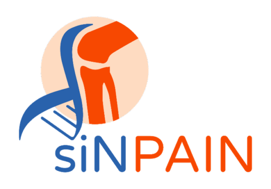 Logo-SINPAIN