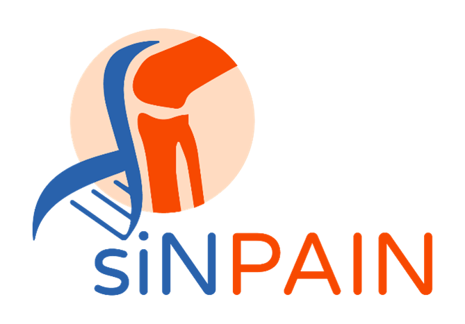 Logo-SINPAIN