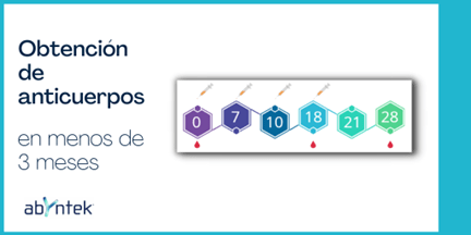 Obtencion-de-anticuerpos