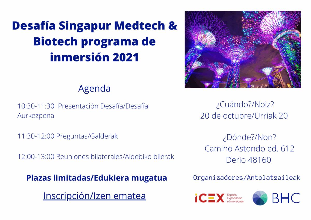 Presentacion-Desafia-ICEX