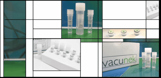 kits-vacunek-no-original