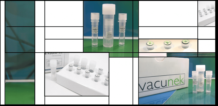 kits-vacunek-no-original