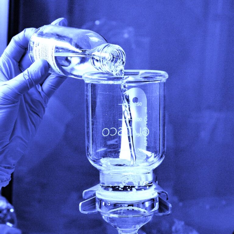 sibari-republic-768×768-1